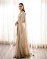 Load image into Gallery viewer, SHIKHWANI Alizeh | Saree-new-249