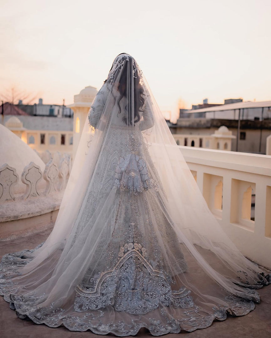 Ali Xeeshan | AX-Ivo-509