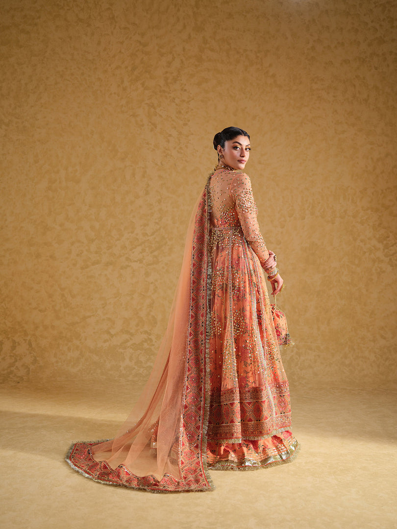 MASTANI | MAS-ORA-244