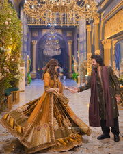 Mohsin Naveed Ranjha | MNR-Soh-775