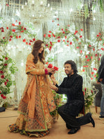 Load image into Gallery viewer, HUSSAIN REHAR - Saaz | HR-saz-747
