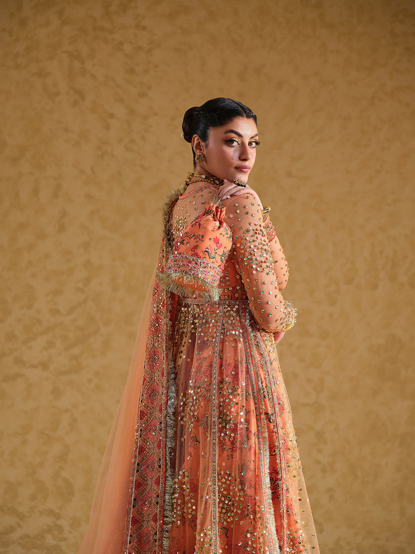 MASTANI | MAS-ORA-244