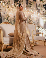 Load image into Gallery viewer, Tena Durrani latest 2025 | TD-lat-888
