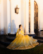 Load image into Gallery viewer, Abhinav Mishra | AM-Meh-024