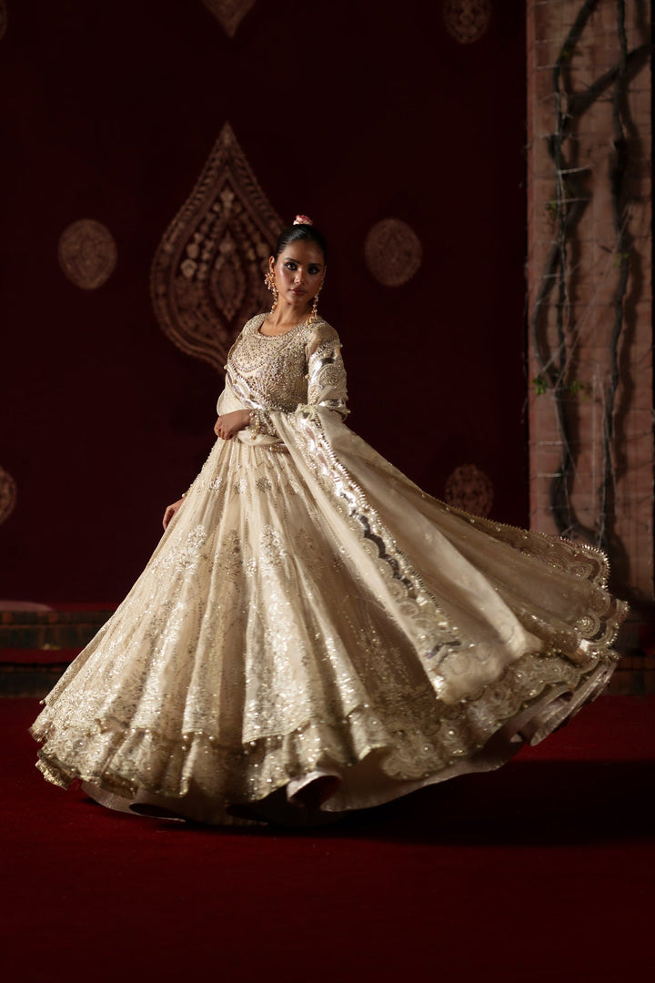 Saad Bin Shahzad - ASHFI | SBS-ASH-246