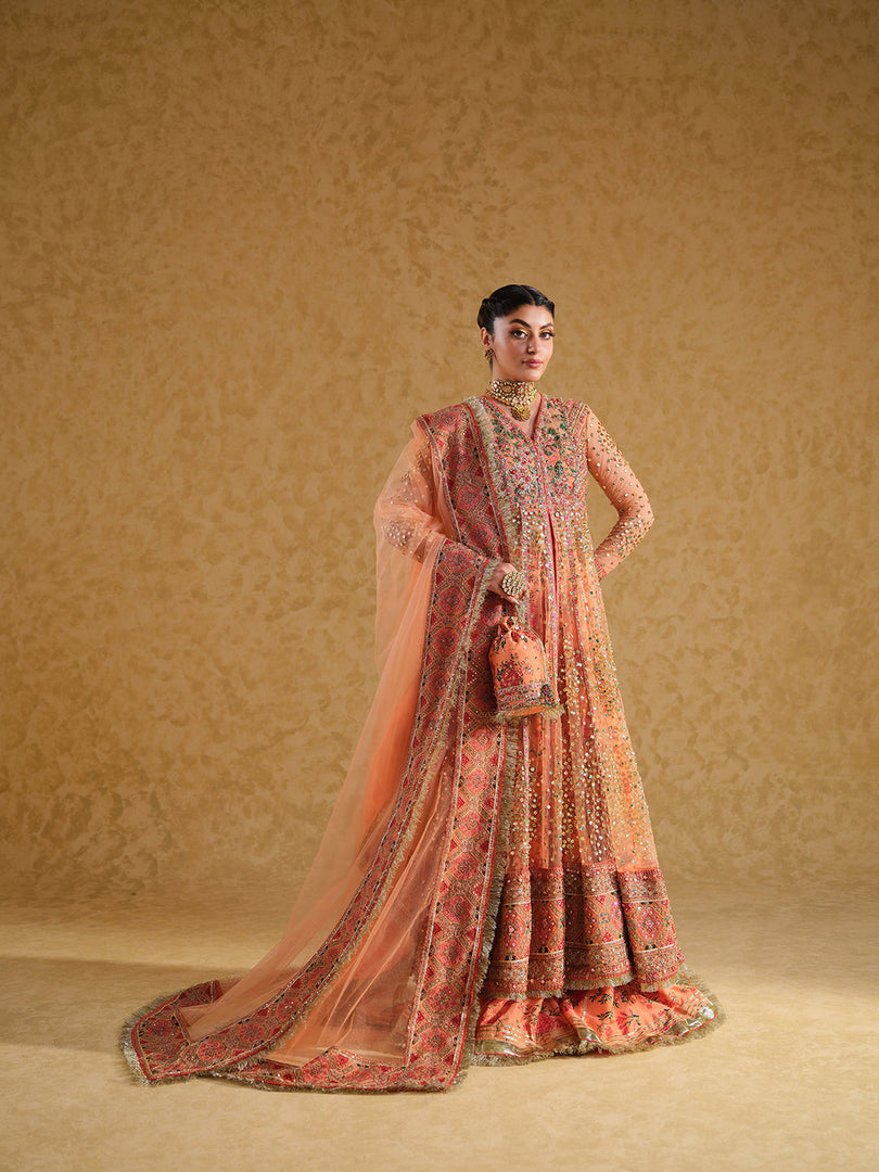 MASTANI | MAS-ORA-244