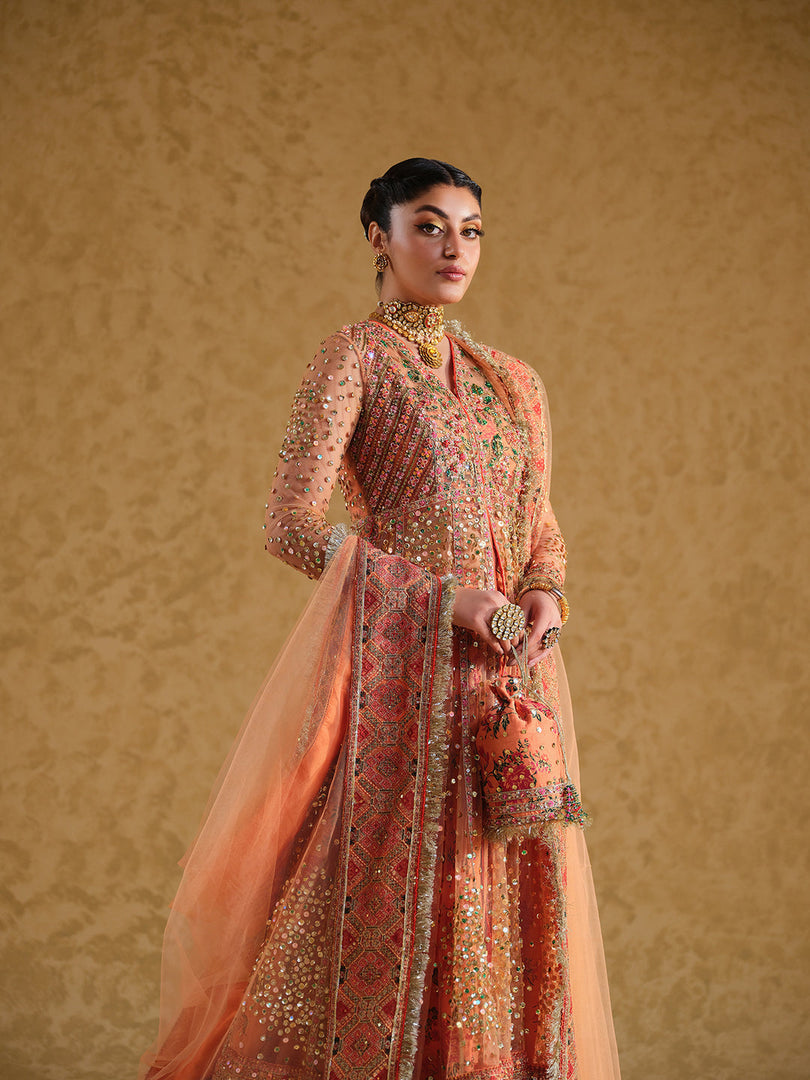 MASTANI | MAS-ORA-244